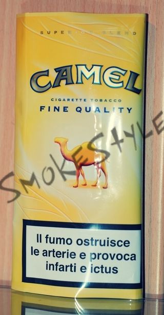 camel giallo