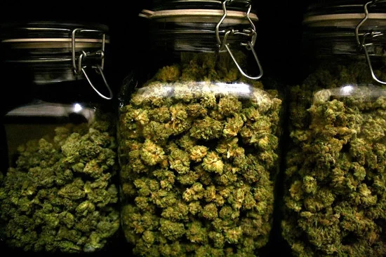 conservare cannabis