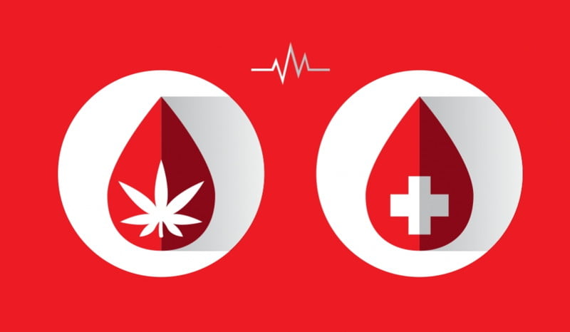 Donazione Sangue e Cannabis